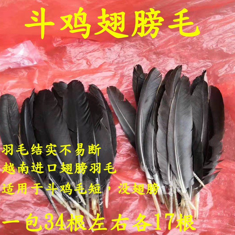 斗鸡毛 斗鸡用品 斗鸡翅膀毛  斗鸡羽毛 斗鸡接毛 斗鸡训练用品